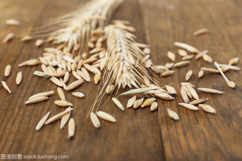 聆聽(tīng)谷物之語(yǔ) 黑麥在桌面上的微觀敘事